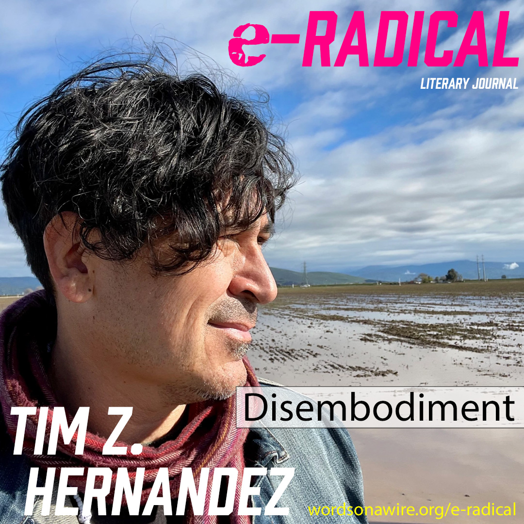 Disembodiment by Tim Z. Hernandez