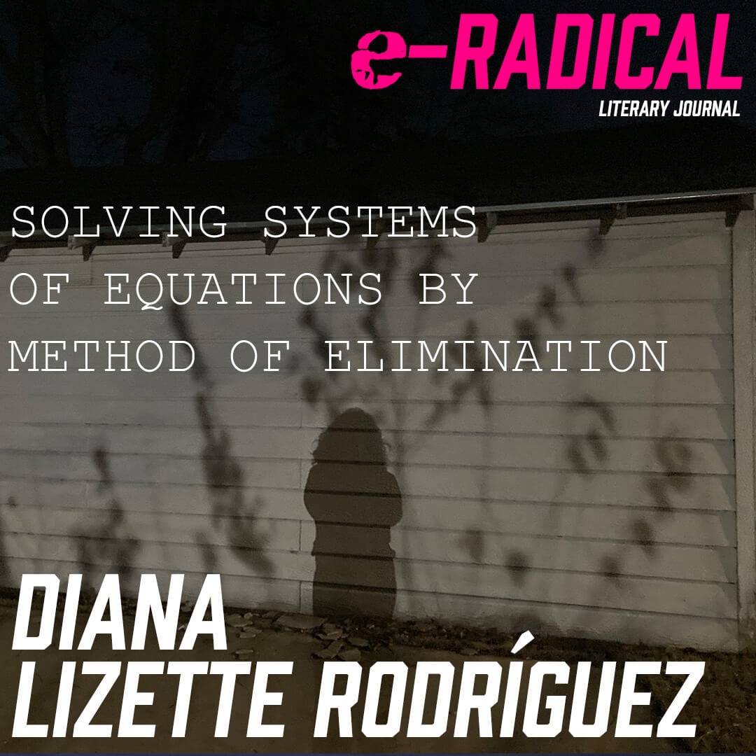 Diana Lizette Rodriguez
